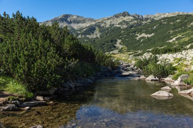 Muhteşem manzara Banderitsa Nehri, Pirin Dağı, Bulgaristan