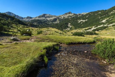 Muhteşem manzara Banderitsa Nehri, Pirin Dağı, Bulgaristan
