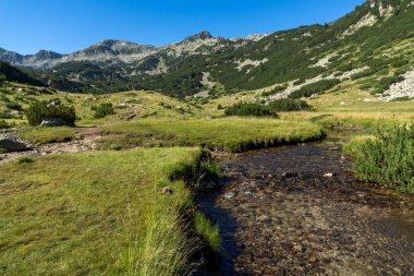 Muhteşem manzara Banderitsa Nehri, Pirin Dağı, Bulgaristan
