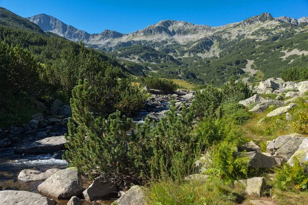 Paisagem Incrível Rio Banderitsa Pirin Mountain Bulgária — Fotografia de Stock