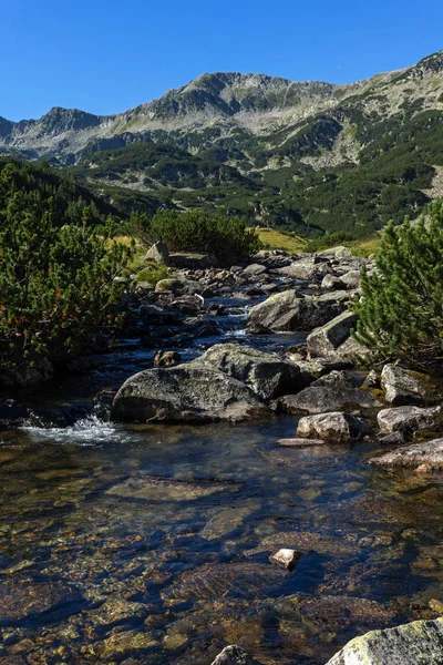 Pemandangan Luar Biasa Sungai Banderitsa Pirin Mountain Bulgaria — Stok Foto