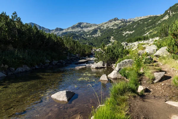 Дивовижний Краєвид Banderitsa Ріки Гори Пірін Болгарія — стокове фото