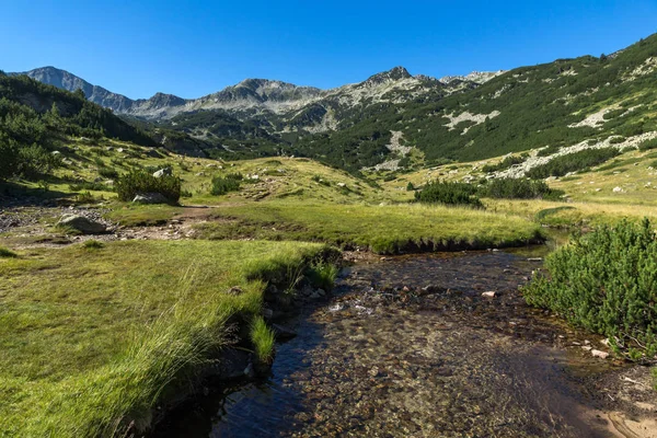 Дивовижний Краєвид Banderitsa Ріки Гори Пірін Болгарія — стокове фото