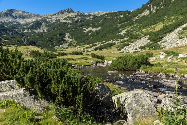 Fantastiska Landskap Banderitsa Floden Berget Pirin Bulgarien — Stockfoto