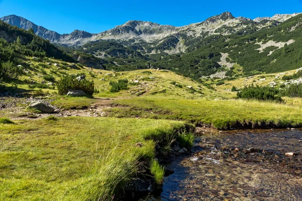 Pemandangan Luar Biasa Sungai Banderitsa Pirin Mountain Bulgaria — Stok Foto