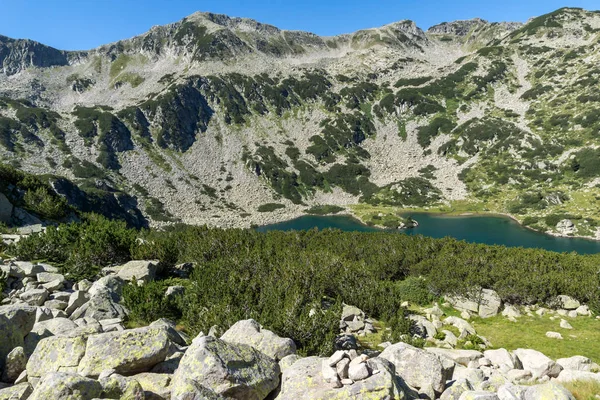 Paisagem Com Colinas Verdes Lago Peixes Banderitsa Pirin Mountain Bulgária — Fotografia de Stock