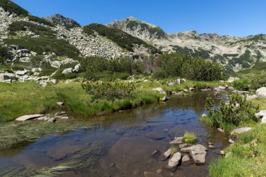 Dağ nehir kenarında Muratov tepe, Pirin Dağı, Bulgaristan ile manzara