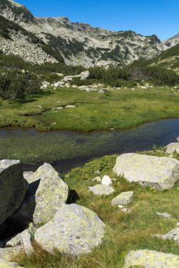Dağ nehir kenarında Muratov tepe, Pirin Dağı, Bulgaristan ile manzara