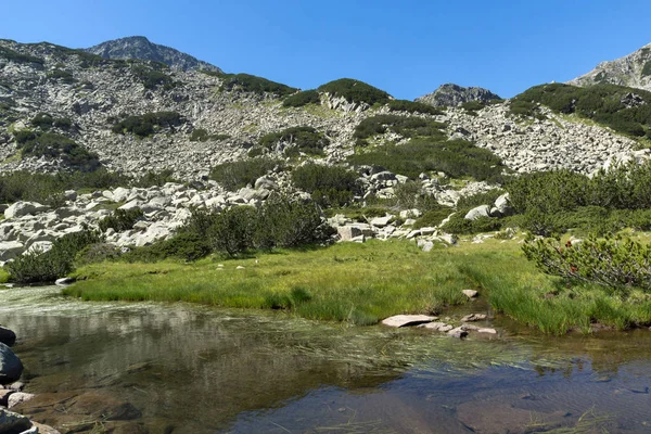 Lanskap Dengan Sungai Pegunungan Dekat Muratov Puncak Pirin Gunung Bulgaria — Stok Foto