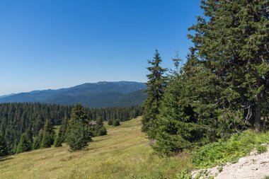 Yaz manzara Snezhanka yakınındaki Rodop Dağları'nın muhteşem tepe ve kayak tesisi Pamporovo, bölge Smolyan, Bulgaristan