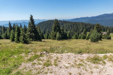 Yaz manzara Snezhanka yakınındaki Rodop Dağları'nın muhteşem tepe ve kayak tesisi Pamporovo, bölge Smolyan, Bulgaristan