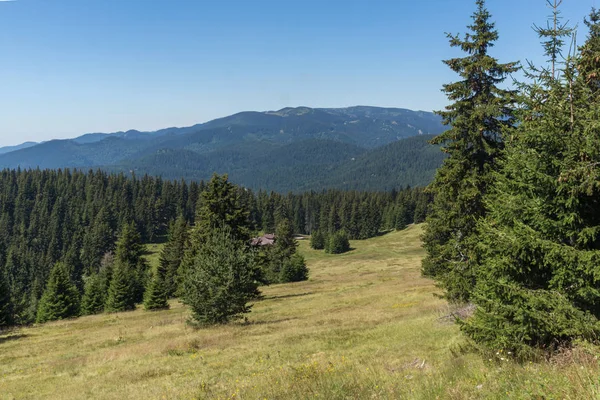 Úžasné Letní Krajina Rodopy Poblíž Snezhanka Peak Lyžařský Rezort Pamporovo — Stock fotografie