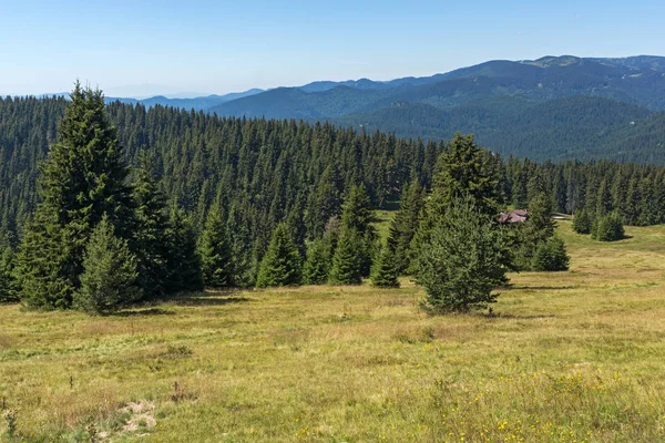 Paysage Estival Incroyable Des Rhodopes Près Sommet Snezhanka Station Ski — Photo