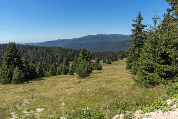 Yaz manzara Snezhanka yakınındaki Rodop Dağları'nın muhteşem tepe ve kayak tesisi Pamporovo, bölge Smolyan, Bulgaristan