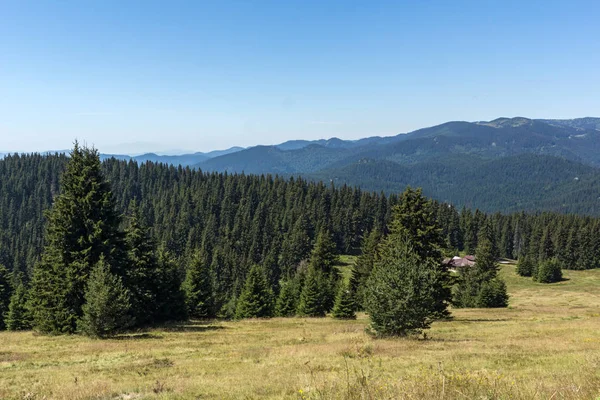 Paysage Estival Incroyable Des Rhodopes Près Sommet Snezhanka Station Ski — Photo