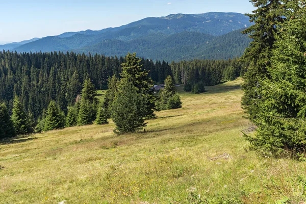 Paysage Estival Incroyable Des Rhodopes Près Sommet Snezhanka Station Ski — Photo