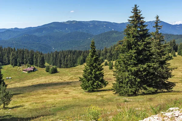 Yaz manzara Snezhanka yakınındaki Rodop Dağları'nın muhteşem tepe ve kayak tesisi Pamporovo, bölge Smolyan, Bulgaristan