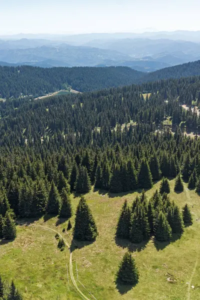 スモーリャン地域 ブルガリアのスキー リゾート Pamporovo Snezhanka タワーからロドピ山脈の素晴らしい風景 — ストック写真
