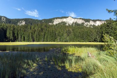 Bulgaristan 'ın Smolyan Bölgesi, Rodop Dağları' ndaki Grassy (Trevistoto) Smolyan Gölü 'nün muhteşem manzarası