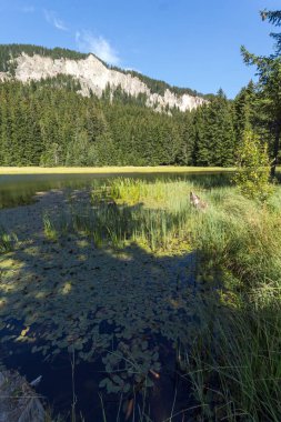 Bulgaristan 'ın Smolyan Bölgesi, Rodop Dağları' ndaki Grassy (Trevistoto) Smolyan Gölü 'nün muhteşem manzarası