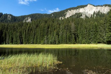 Bulgaristan 'ın Smolyan Bölgesi, Rodop Dağları' ndaki Grassy (Trevistoto) Smolyan Gölü 'nün muhteşem manzarası