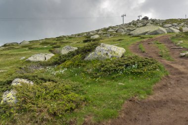 Şaşırtıcı Panorama, Vitosha Mountain yakınındaki Cherni Vrah tepe, Sofya şehir bölge, Bulgaristan