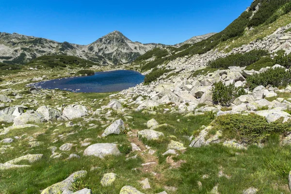 Peisaj Dealuri Verzi Jurul Lacului Broasca Muntele Pirin Bulgaria — Fotografie, imagine de stoc