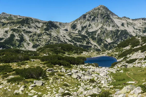 Τοπίο Καταπράσινους Λόφους Γύρω Από Την Λίμνη Βάτραχος Πίριν Βουλγαρία — Φωτογραφία Αρχείου