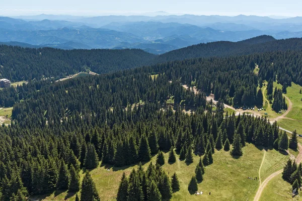 Letní Krajina Rhodope Mountains Snezhanka Věže Poblíž Lyžařské Středisko Pamporovo — Stock fotografie