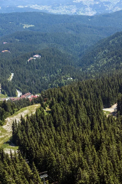 Sommerlandschaft Der Rhodopen Berge Vom Snezhanka Turm Der Nähe Des — Stockfoto
