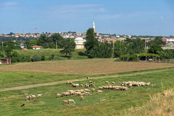 Krajina Zelené Louky Okraji Města Edirne Východní Thrákie Turecko — Stock fotografie