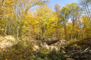 Radan dağ, Sırbistan için şeytan town yakınındaki sarı ağaçları ile şaşırtıcı sonbahar manzara