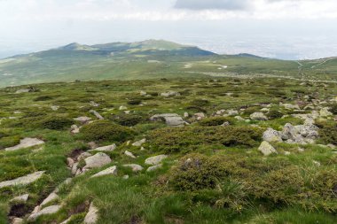 Manzara Vitosha Mountain yakınındaki Cherni Vrah tepe, Sofya şehir bölge, Bulgaristan