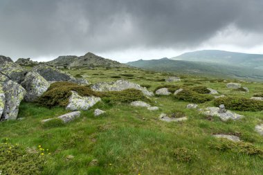 Cherni Vrah tepe, Sofya şehir bölge, Bulgaristan üzerinden Vitosha Dağı'nın muhteşem manzara