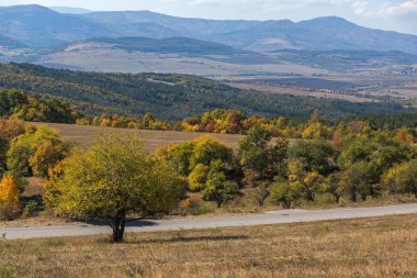 Sonbahar manzara Cherna Gora (Karadağ) Dağı, Pernik bölge, Bulgaristan