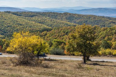 Sonbahar manzara Cherna Gora (Karadağ) Dağı, Pernik bölge, Bulgaristan