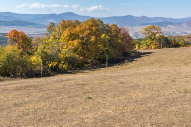 Sonbahar manzara Cherna Gora (Karadağ) Dağı, Pernik bölge, Bulgaristan
