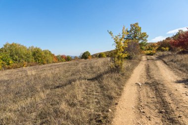 Sonbahar manzara Cherna Gora (Karadağ) Dağı, Pernik bölge, Bulgaristan