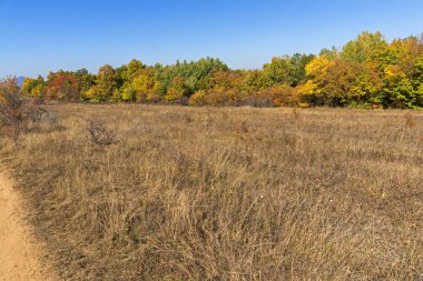 Sonbahar manzara Cherna Gora (Karadağ) Dağı, Pernik bölge, Bulgaristan