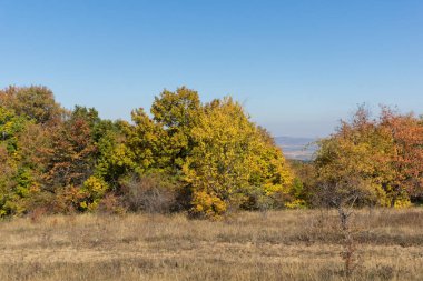 Sonbahar manzara Cherna Gora (Karadağ) Dağı, Pernik bölge, Bulgaristan