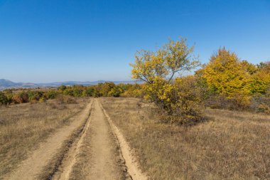 Sonbahar manzara Cherna Gora (Karadağ) Dağı, Pernik bölge, Bulgaristan