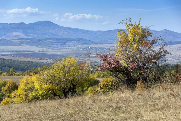 Herfst Landschap Van Cherna Gora Monte Negro Berg Pernik Regio — Stockfoto