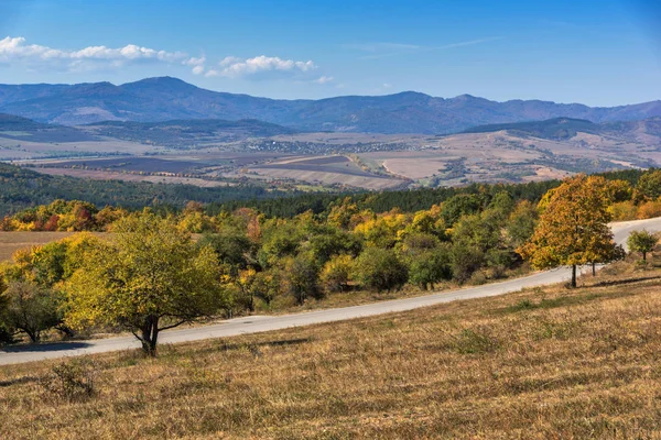 Paisaje Otoñal Montaña Cherna Gora Monte Negro Región Pernik Bulgaria — Foto de Stock