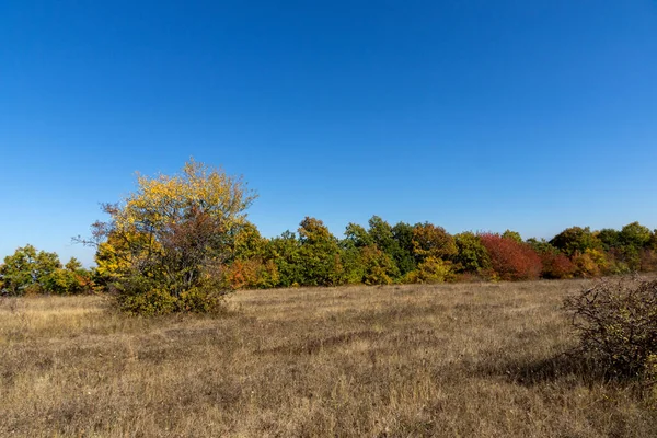 Sonbahar manzara Cherna Gora (Karadağ) Dağı, Pernik bölge, Bulgaristan