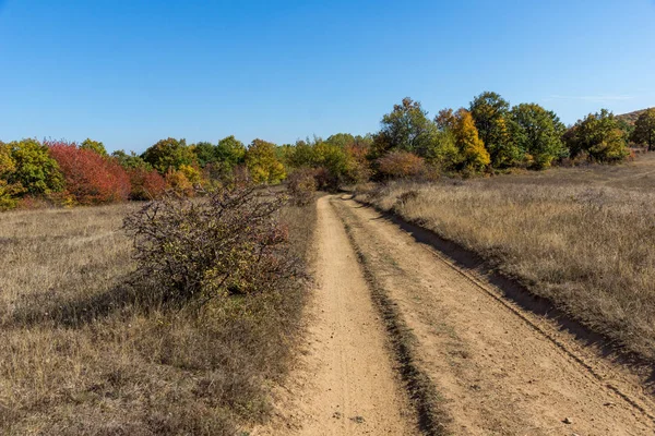 Sonbahar manzara Cherna Gora (Karadağ) Dağı, Pernik bölge, Bulgaristan