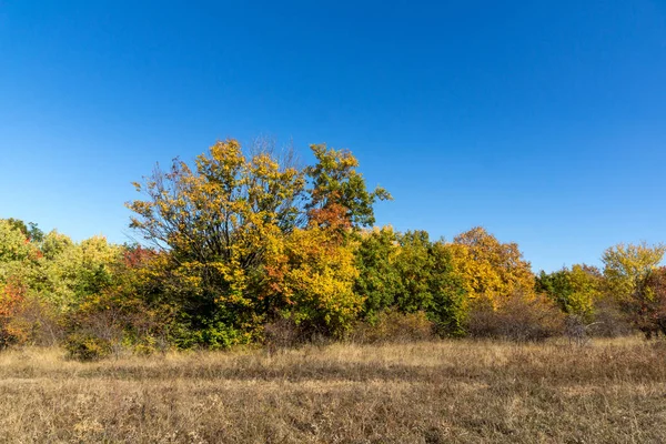 Sonbahar manzara Cherna Gora (Karadağ) Dağı, Pernik bölge, Bulgaristan