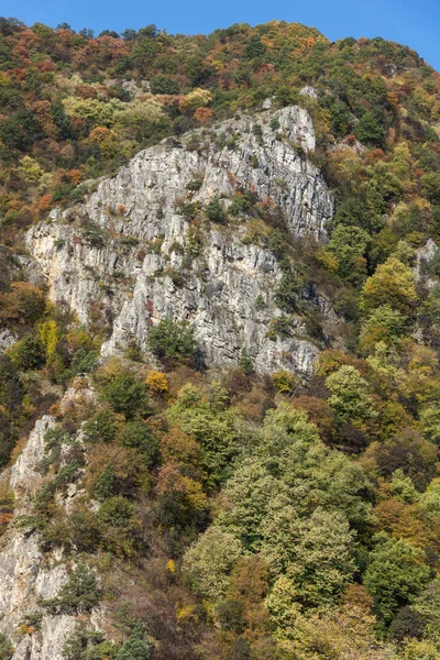 Удивительная Осенняя Лестница Лесом Вокруг Кричимского Водохранилища Гора Родопес Болгария — стоковое фото