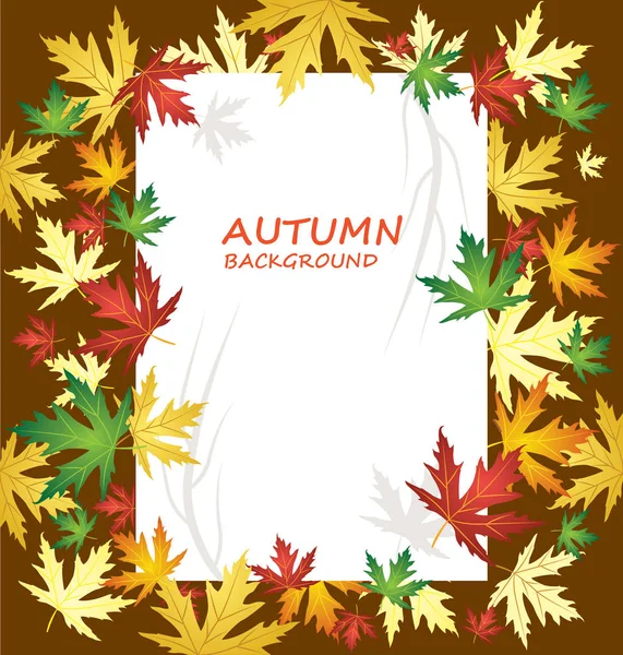 Prázdný Papír Podzimní Pozadí Různými Druhy Listí Vektorové Ilustrace — Stockový vektor