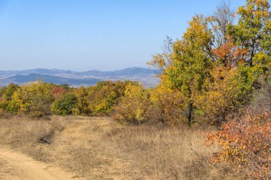 Şaşırtıcı sonbahar manzara Cherna Gora (Karadağ) Dağı, Pernik bölge, Bulgaristan