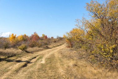 Şaşırtıcı sonbahar manzara Cherna Gora (Karadağ) Dağı, Pernik bölge, Bulgaristan